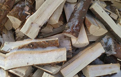 Дрова хвойные
