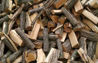 Смесь дуб и граб